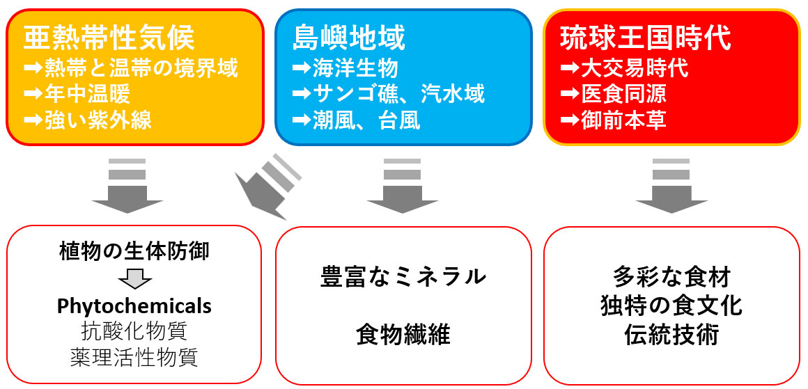 沖縄における“健康素材力”の源泉