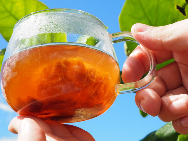 琉球潤果茶 栄養機能食品(ビタミンC)