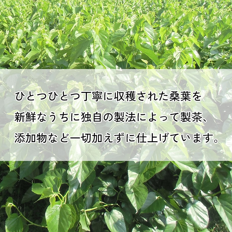 食事のバランスが気になる方に！沖縄県産島桑（シマグワ）100％「てだ桑茶（パウダータイプ）」